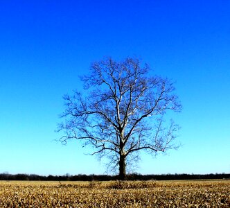 Countryside sky blue