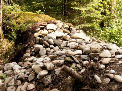 Wall forest stone wall photo