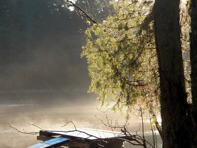 Mist fog dimma