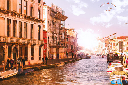 Canal in Venice with sun and flying birds