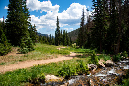 Pathway by the Creek photo