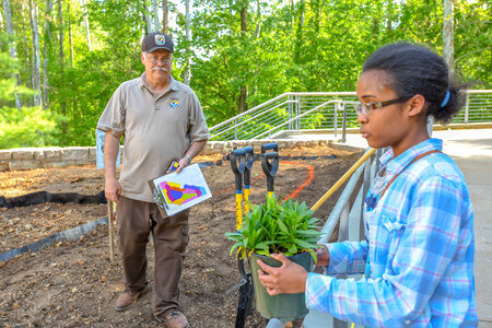 Planting a monarch garden-2