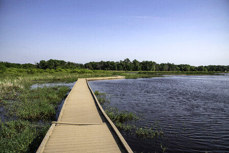 Boardwalk by the Pond