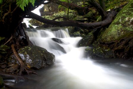 Stream nature water