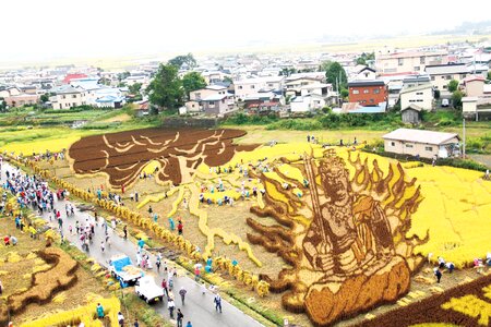 Japanese Amazing Rice Paddy Art photo