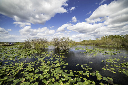 Clouds over the Swamp on the Anhinga Trail