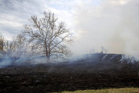 Burn habitat nature