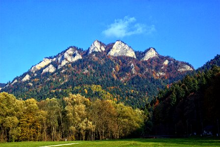 Autumn leaves colors view