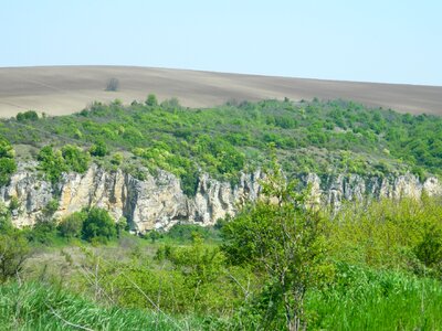 Turkey Green Nature