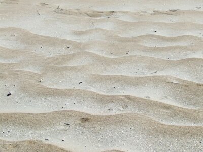 Texture white seaside