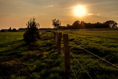 Backlighting grass fence