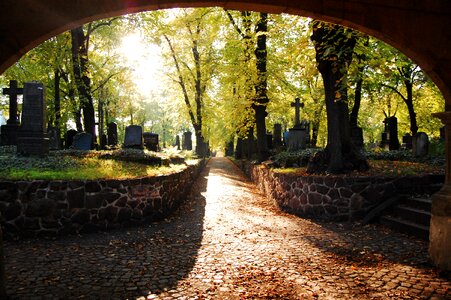 Autumn grave crosses