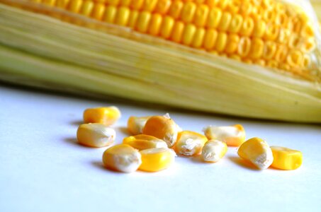 Corn delicious diet photo