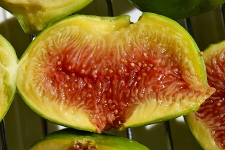 Delicious diet dietary