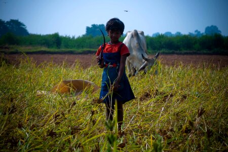 Cutting the grass child childhood