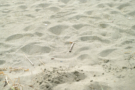 2 Sandy beach