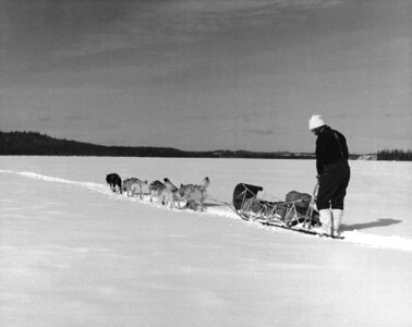 Bearing equipment island