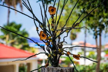 Twigs dry design
