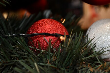 Branch christmas christmas tree photo