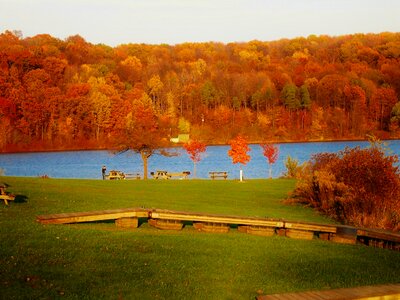 Autumn colorful foliage over lake photo
