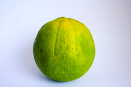 Lime Fruit photo