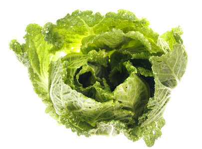 Green lettuce isolated photo