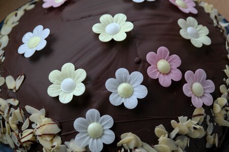 Chocolate cake ornament floral