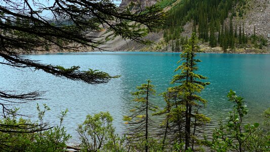 National park landscape alberta photo