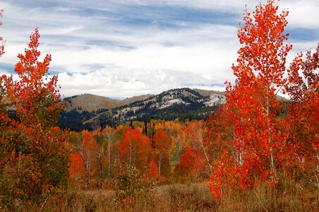 Scenery mountains autumn