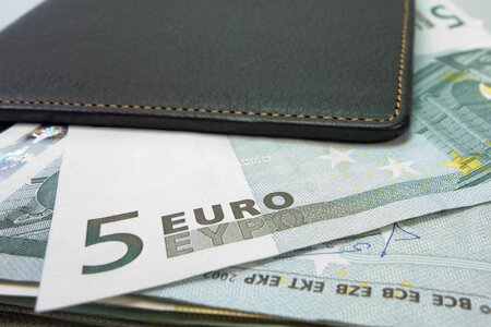 Euro leather wallet photo