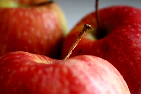 Apple close macro photo