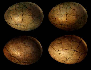 Dragon nest hatching