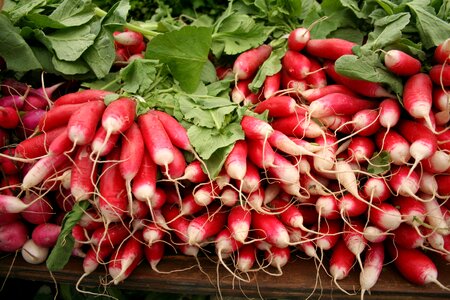 Farmers market farmer farmers