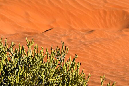 Sand dune desert photo