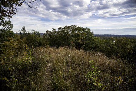 Grasses and trees under the sky and clouds at Ferry Bluff, Wisconsin photo