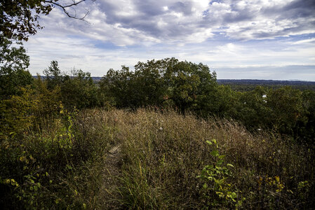 Grasses and trees under the sky and clouds at Ferry Bluff, Wisconsin