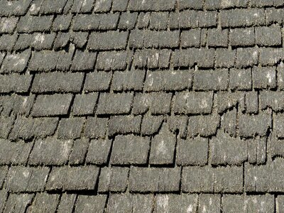 Wood house wood shingle