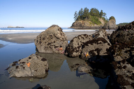 California Coastal Landscape photo