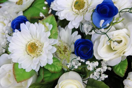 Flowers celebration congratulations