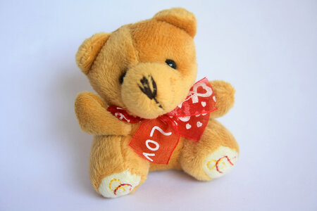 Teddy Bear Cuddly Cute photo