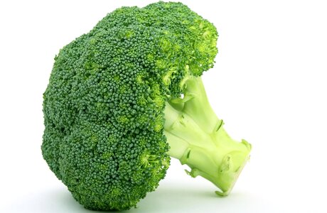 Beautiful Photo broccoli cabbage