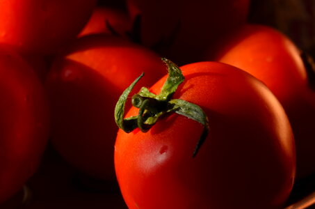 Tomato Pile photo