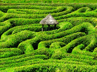 Garden cornwall south gland