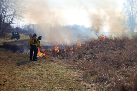 Firefighters torching field