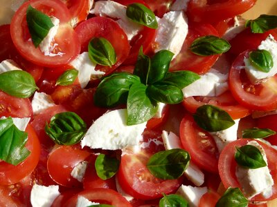 Mozzarella cheese healthy