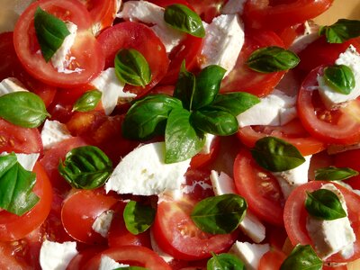 Mozzarella cheese healthy photo