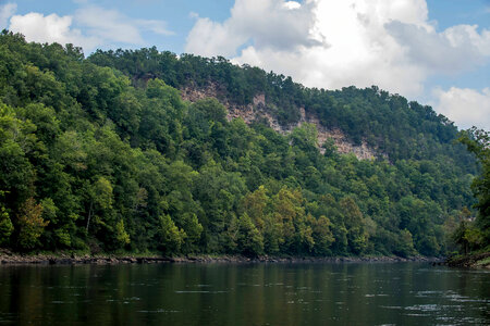 Scenic view of the Cumberland River Tailwater-1 photo