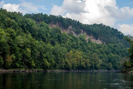 Scenic view of the Cumberland River Tailwater-1