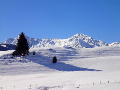 Snow winter alpine