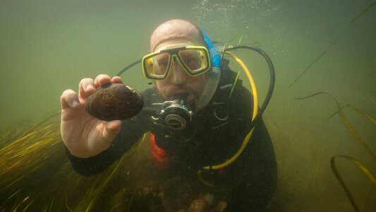 Diver collects Mucket photo